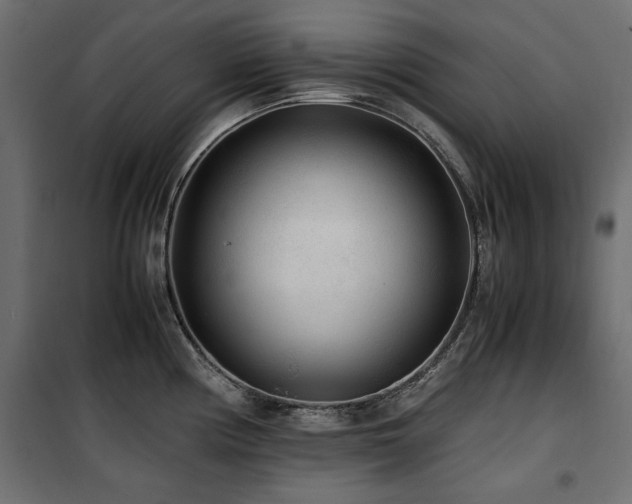 X0000100861194200806201209