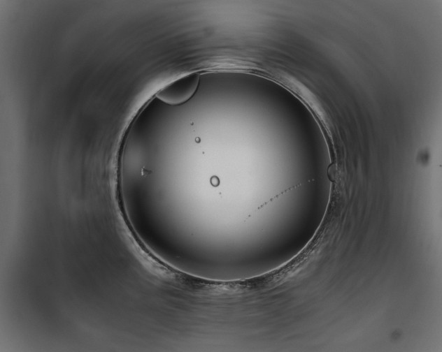 X0000100861195200806201209