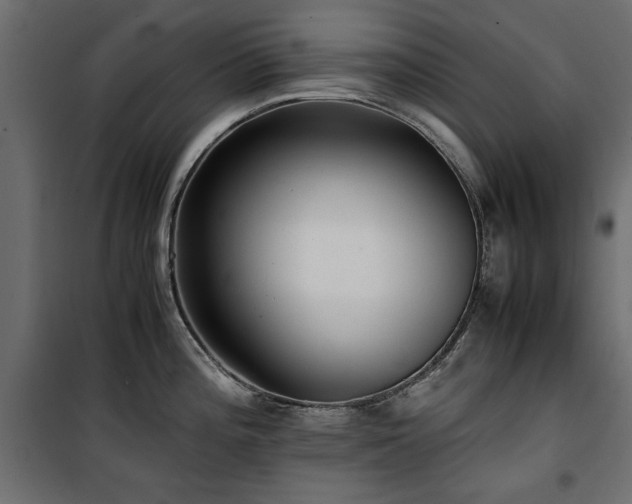 X0000100861196200806201209