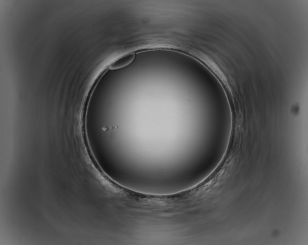 X0000100861197200806201209