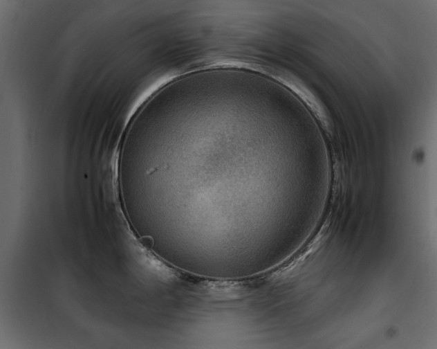 X0000100861198200806201209