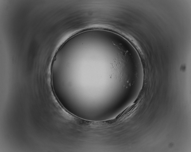 X0000100861199200806201209