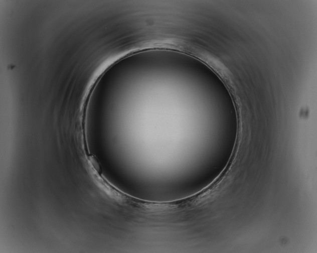 X0000100861200200806201209