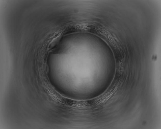 X0000100861201200806201208