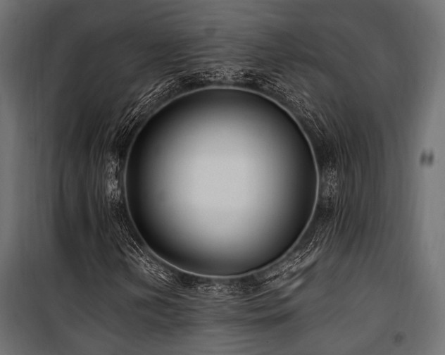 X0000100861202200806201208