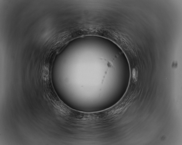 X0000100861203200806201209