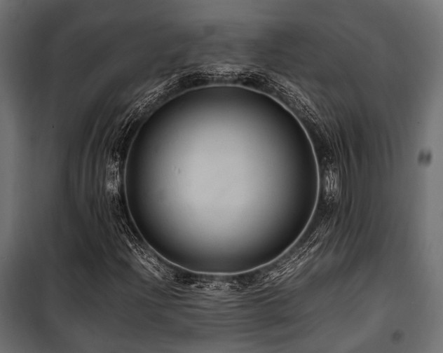 X0000100861204200806201209