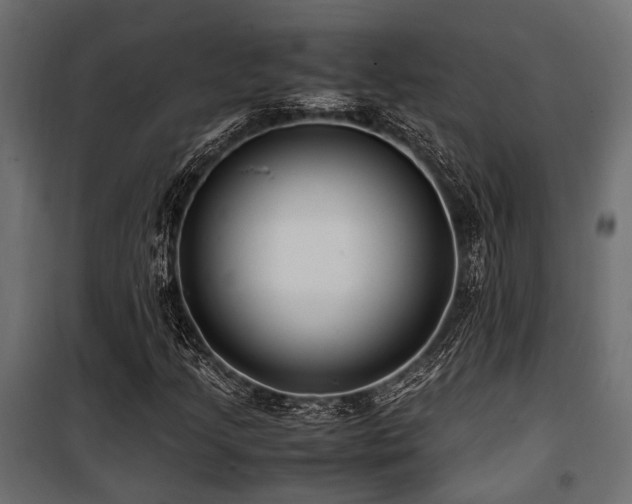 X0000100861205200806201209