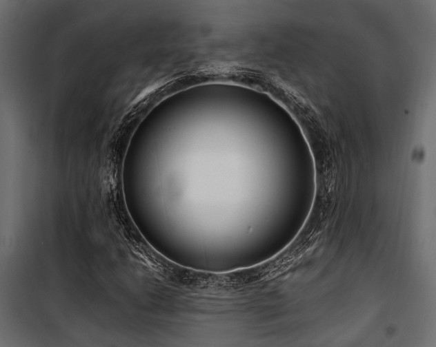 X0000100861206200806201209