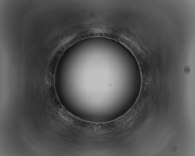 X0000100861207200806201209