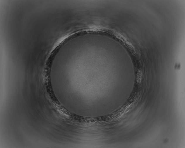 X0000100861208200806201209