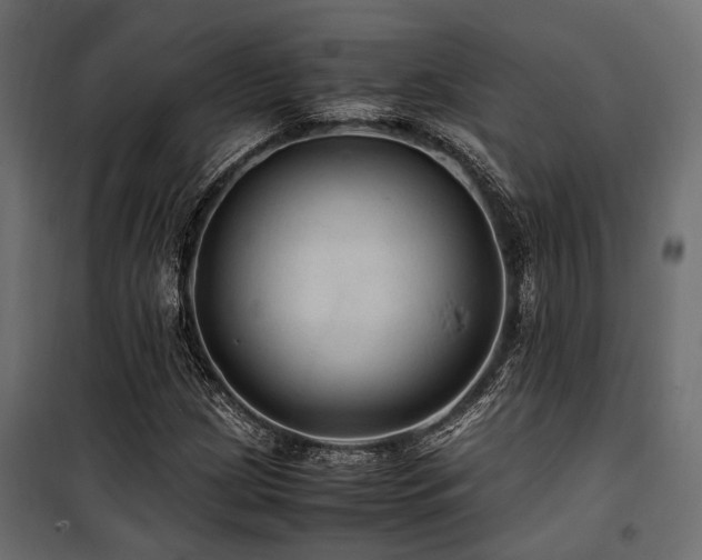 X0000100861209200806201209