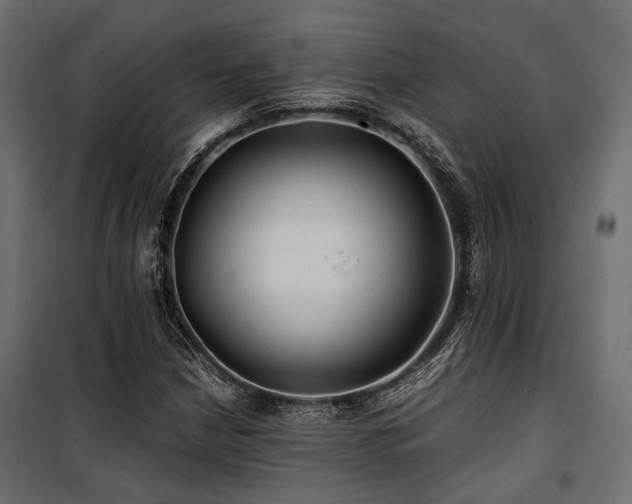 X0000100861210200806201209