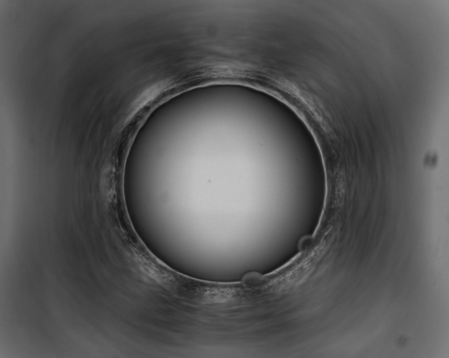 X0000100861211200806201209