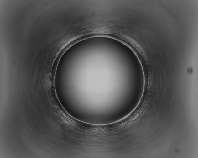 X0000100861212200806201209