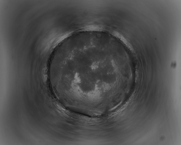 X0000100861213200806201209