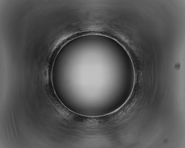 X0000100861214200806201209