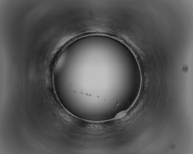 X0000100861215200806201209