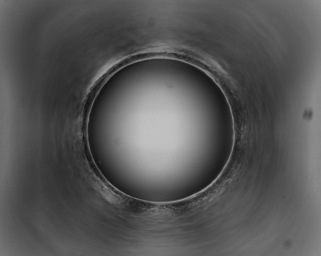 X0000100861216200806201209