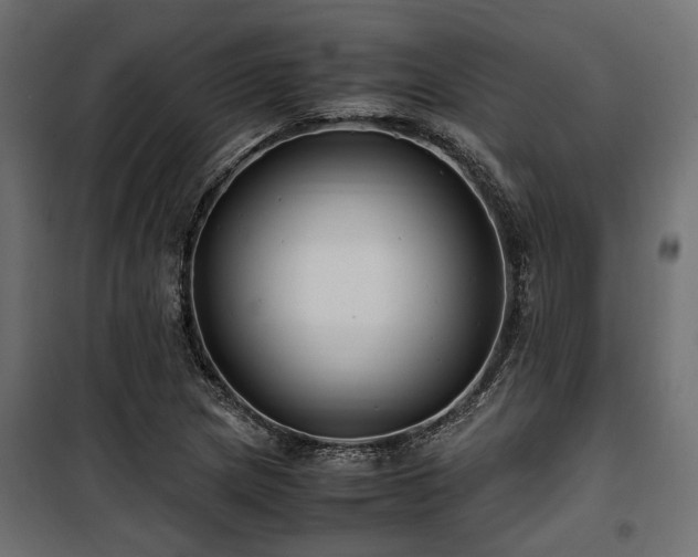 X0000100861217200806201209