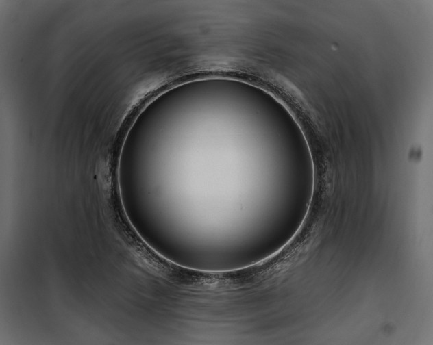 X0000100861218200806201209