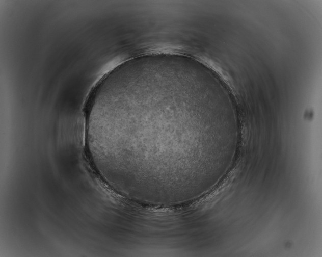 X0000100861219200806201209