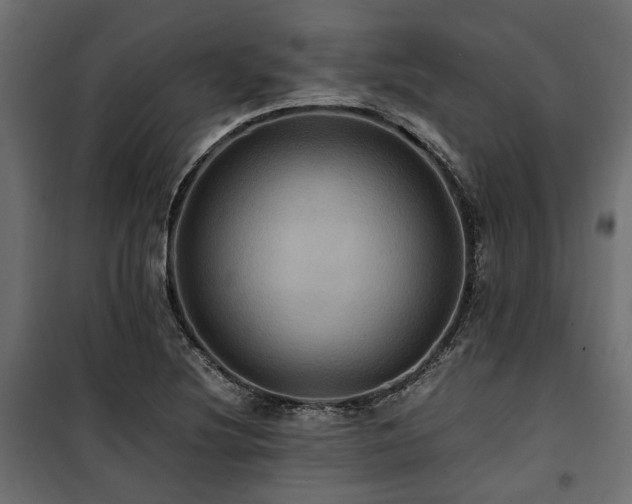 X0000100861220200806201209