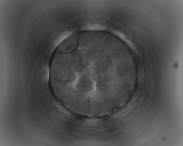 X0000100861221200806201209