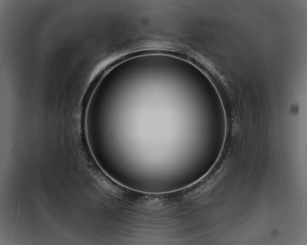 X0000100861222200806201209