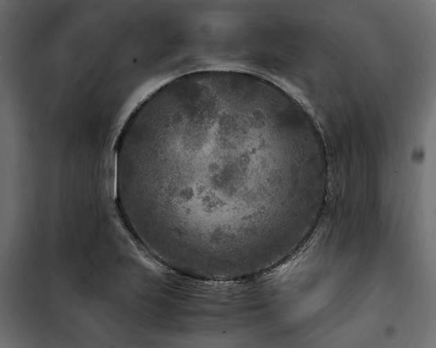 X0000100861223200806201209