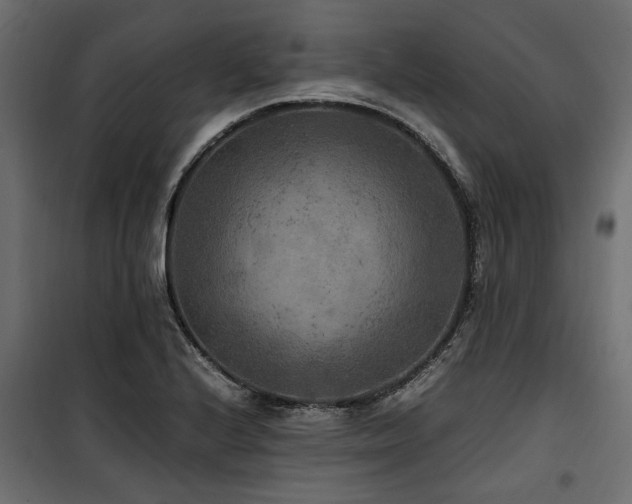 X0000100861224200806201209