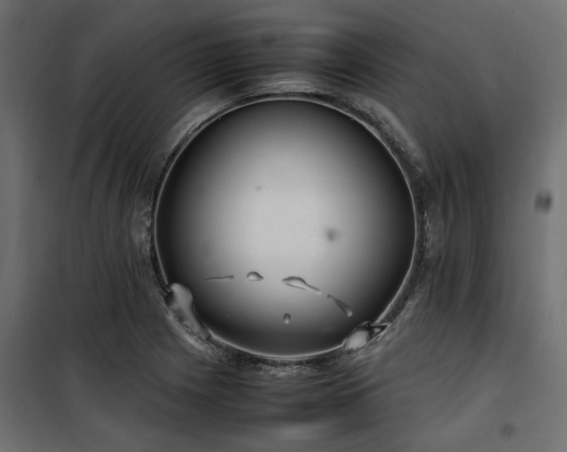 X0000100861225200806201209