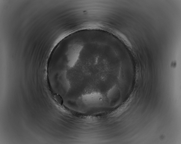 X0000100861226200806201209