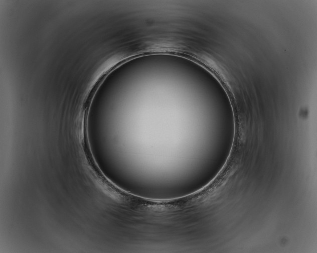 X0000100861227200806201209