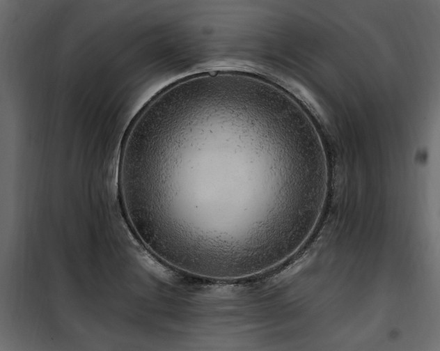 X0000100861228200806201209