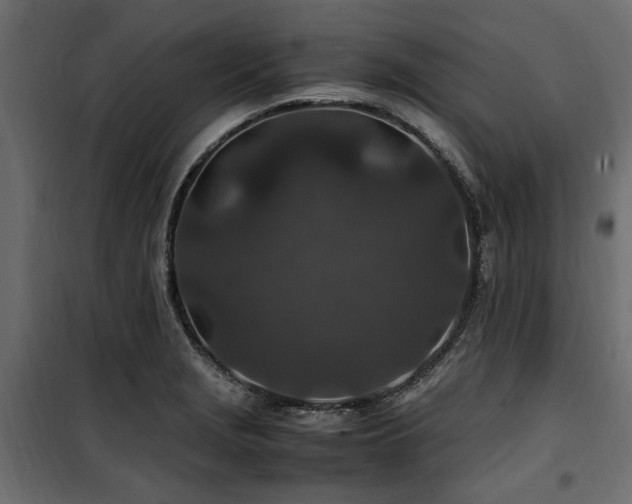 X0000100861229200806201209