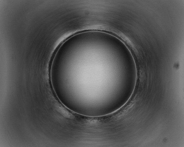 X0000100861230200806201209