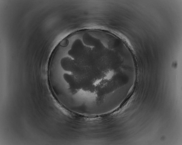 X0000100861231200806201209