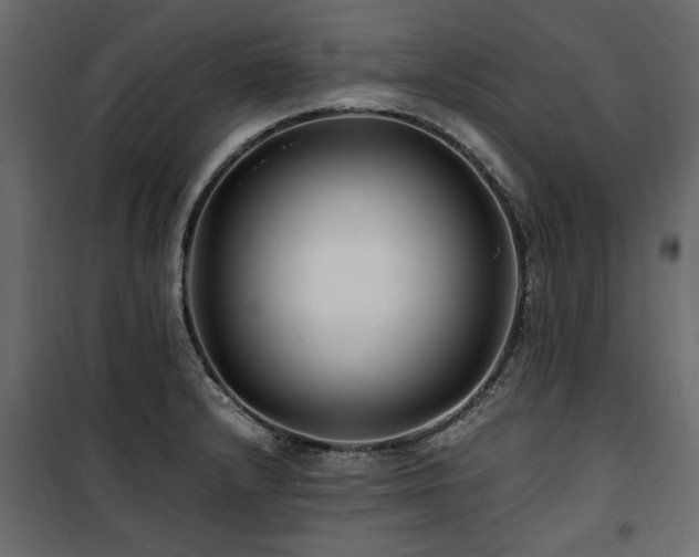 X0000100861232200806201209