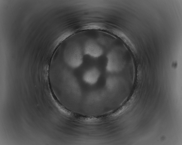 X0000100861233200806201209