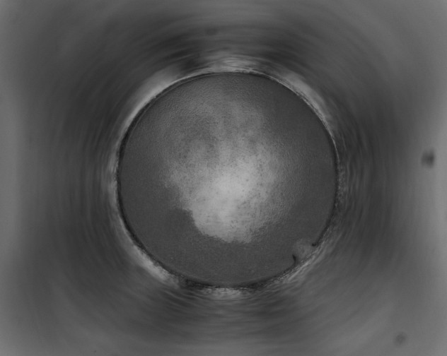 X0000100861235200806201209