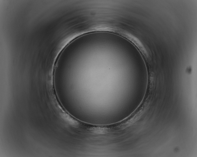 X0000100861236200806201209