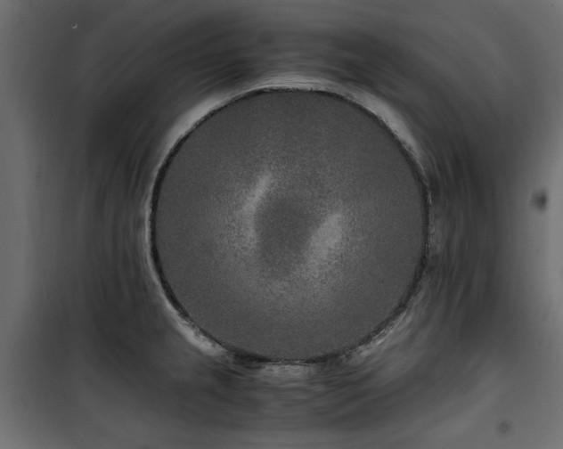 X0000100861237200806201209