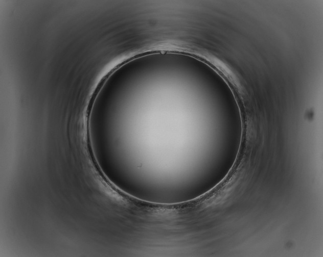 X0000100861238200806201209