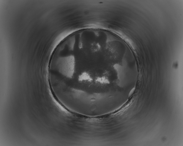 X0000100861239200806201209