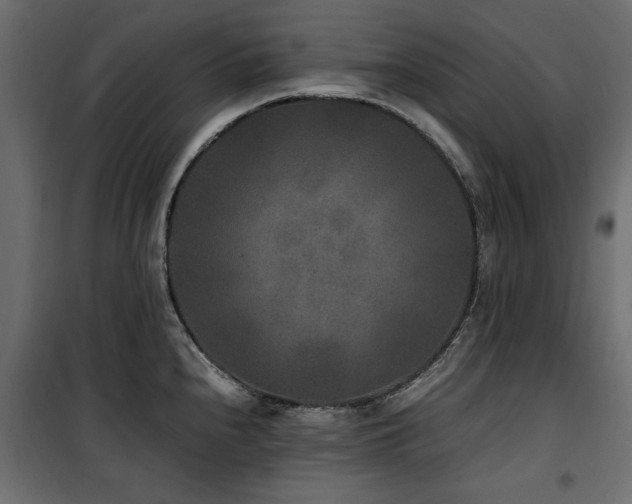 X0000100861240200806201209