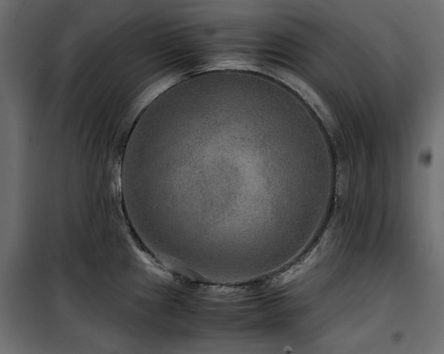 X0000100861241200806201209