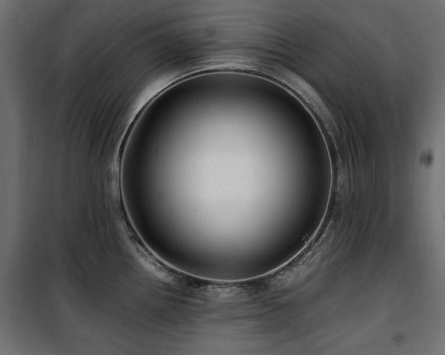 X0000100861242200806201209