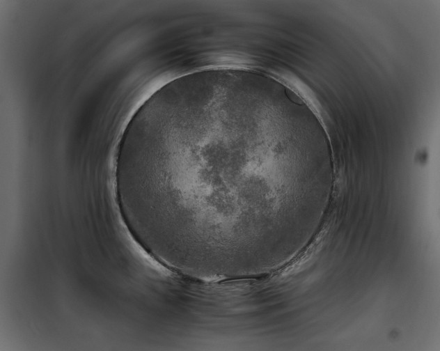 X0000100861243200806201209