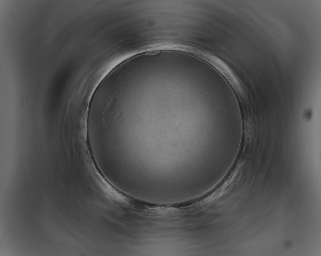 X0000100861244200806201209